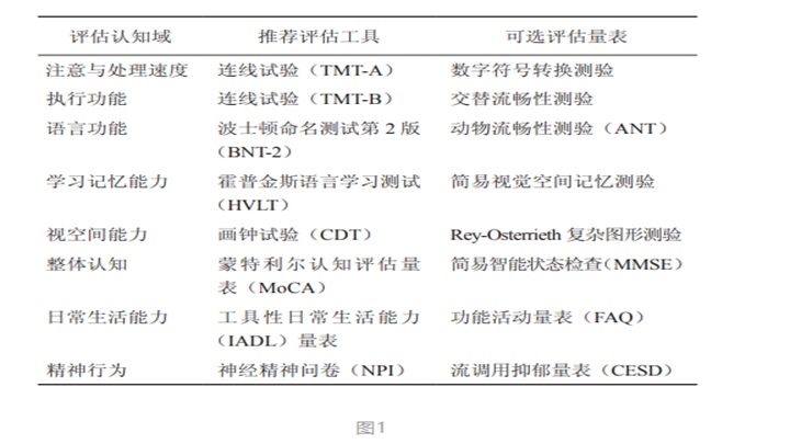 血管性认知障碍的评估与诊断_认知障碍